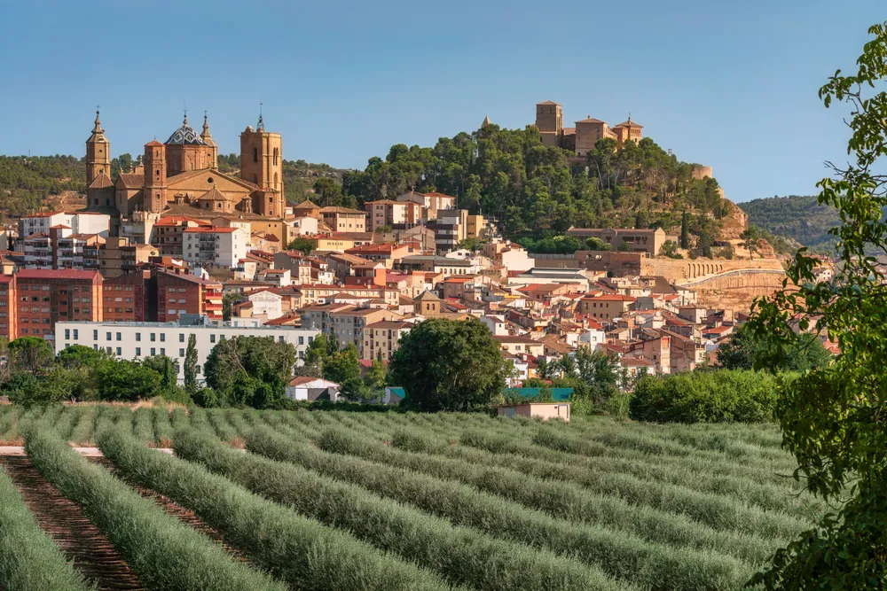 Vista panorámica de la ciudad de Alcañiz con sus edificios históricos y el castillo sobre la colina, detrás de un campo de olivos en primer plano bajo un cielo despejado.