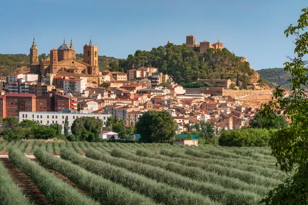 Vista panorámica de la ciudad de Alcañiz con sus edificios históricos y el castillo sobre la colina, detrás de un campo de olivos en primer plano bajo un cielo despejado.